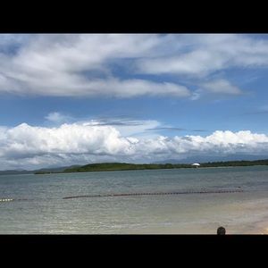 Meet your Posher, Rosalina